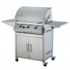 3 burner Gas Grill BBQ