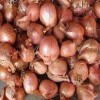 Large exports: onions crunchy (fried red onion)