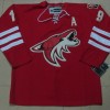 Wholesale NHL  Coyotes #19