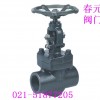 j11y-800lb forged steel valve forged steel valve
