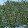 Rosemary extracts