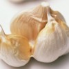 garlic extract