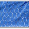 hexagonal wire mesh