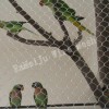 New animal cage- stainless steel rope mesh