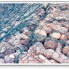 gabion mesh
