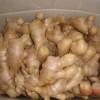 Air-dried ginger for Holland