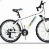 Taiwan's bicycle exports of aluminum mountain bike 