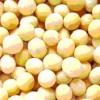 Soybean Isoflavones P.E. 