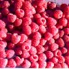 Red Raspberry Extract