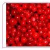 Lingonberry Extract