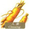 Ginseng Extract