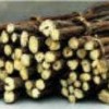 Licorice Extract