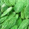 cactus extract