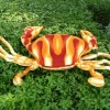 Paradise Sea crab plush toys toys for children of 80 # red car comfortable cushion 