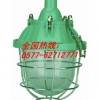 BCd-200 Series Explosion-proof lamp (large) | Explosion proof lamp 