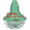 BGL-250L series increased safety explosion-proof lighting | new dawn of increasing safety, increased
