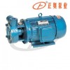 Direct 1W single-stage single-stage vortex pump