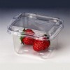 strawberry container  biodegradable disposable packaging