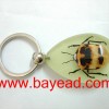 real insect amber keychains,cool amber craft