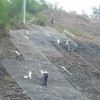 Chain link fence, barbed wire, barbed wire highway, slope protection nets, seeding linked network, n