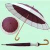 Umbrella umbrella