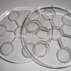 amezcua bio discs malaysia biodisk biodisc bio disk india