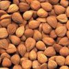 sell sufficient Amygdalin
