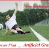 Sports artificial grass (synthetic turf, artificial lawn)