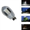 E40 100W  LED road lighting