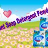 plant-soap-detergent-powder