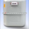 gas meter G10