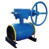 Supply of fully welded ball valve worm 