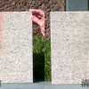 Stone disease treatment services 