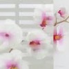 Frosted Glass 