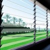 Louver Glass 