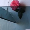 Decorative Glass 