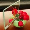 Building Glass 