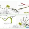 Supply of software bait - worm-shaped road sub (Worm Type)