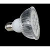 PAR30 LED Light