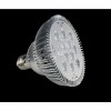 PAR38 LED Lamp