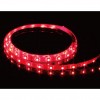 Decorative LED Strip Light