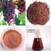 Grape seed extract, OPC95%