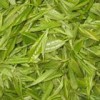 Green tea extract, tea polyphenols