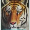 sell 100% handmade animal oil painting