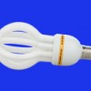 Lotus energy saving lamp