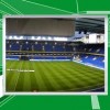 Outdoor P16 Full Color LED Display -4