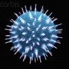 New E. coli EHEC O104: H4 fluorescence quantitative test kit 