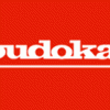 SK-C 258 TiC-O soudokay welding wire