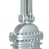 API Cast Steel Gate Valves
