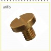 Brass Screw